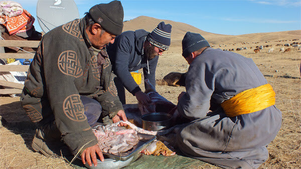 A Projects Abroad volunteer helps two local men prepare a meal outdoors on the Nomad Project in Mongolia